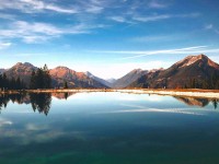 糖心vlog免费网页版：探秘背后的复杂故事