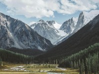 探秘糖心vlog的魅力，背后的故事和变化