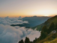 糖心vlog免费网页版：探秘背后的复杂故事